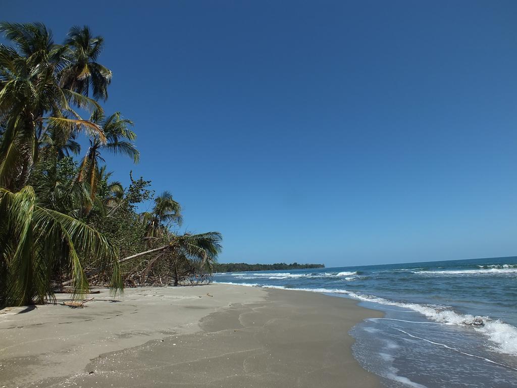 Cabinas Caribe Luna Cahuita Esterno foto