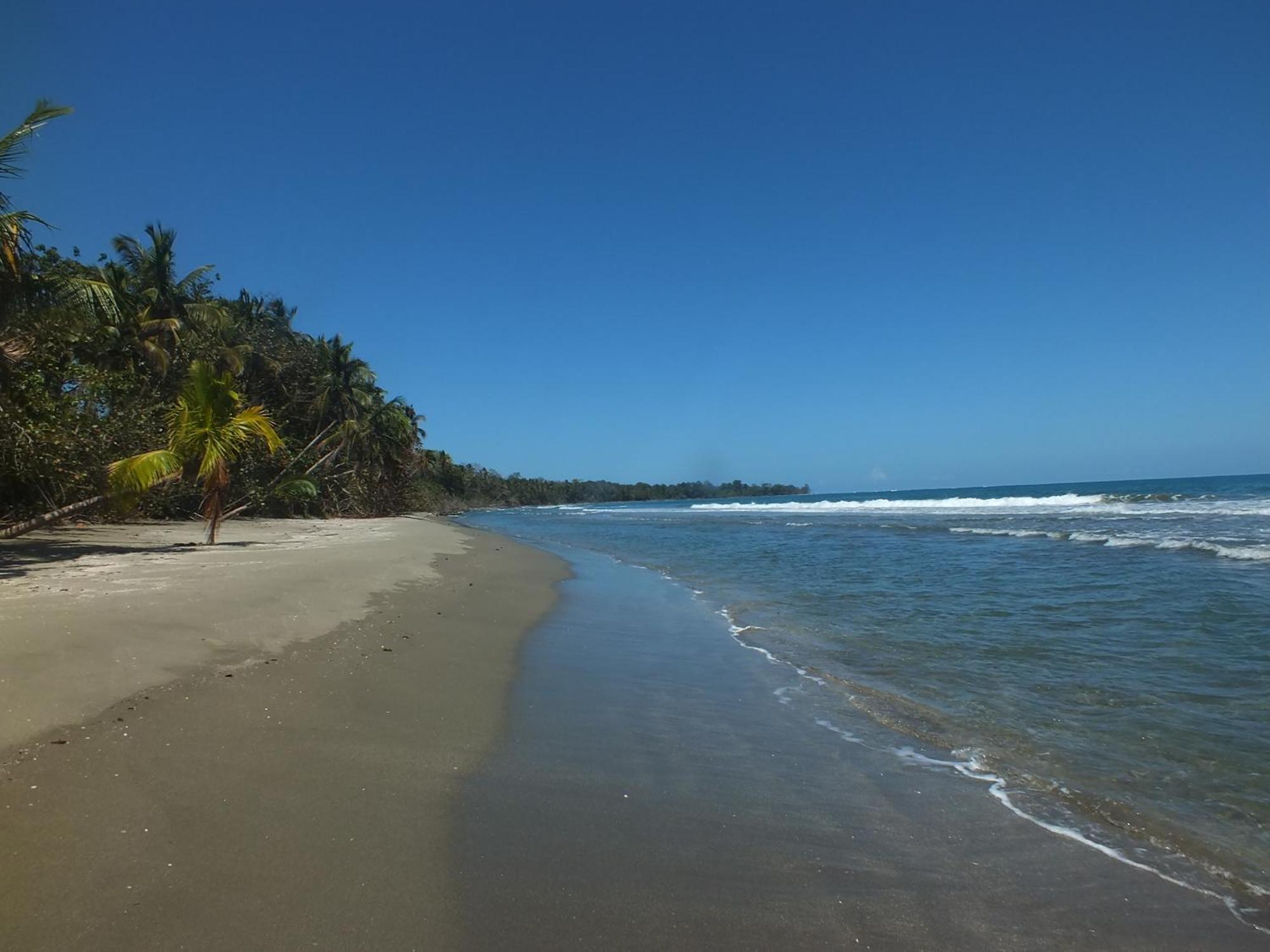 Cabinas Caribe Luna Cahuita Esterno foto