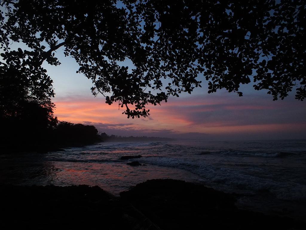 Cabinas Caribe Luna Cahuita Esterno foto
