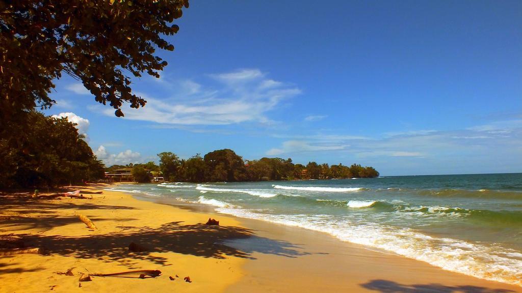 Cabinas Caribe Luna Cahuita Esterno foto