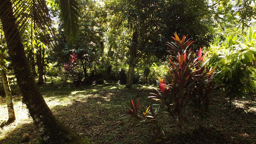 Cabinas Caribe Luna Cahuita Esterno foto