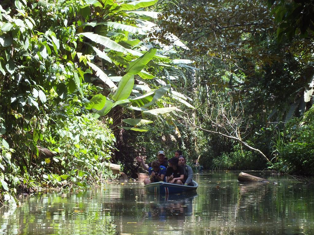 Cabinas Caribe Luna Cahuita Esterno foto