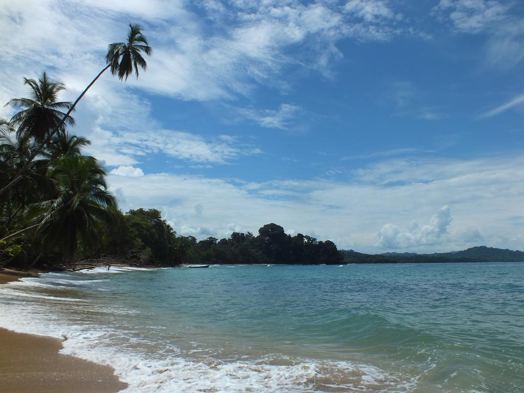 Cabinas Caribe Luna Cahuita Esterno foto