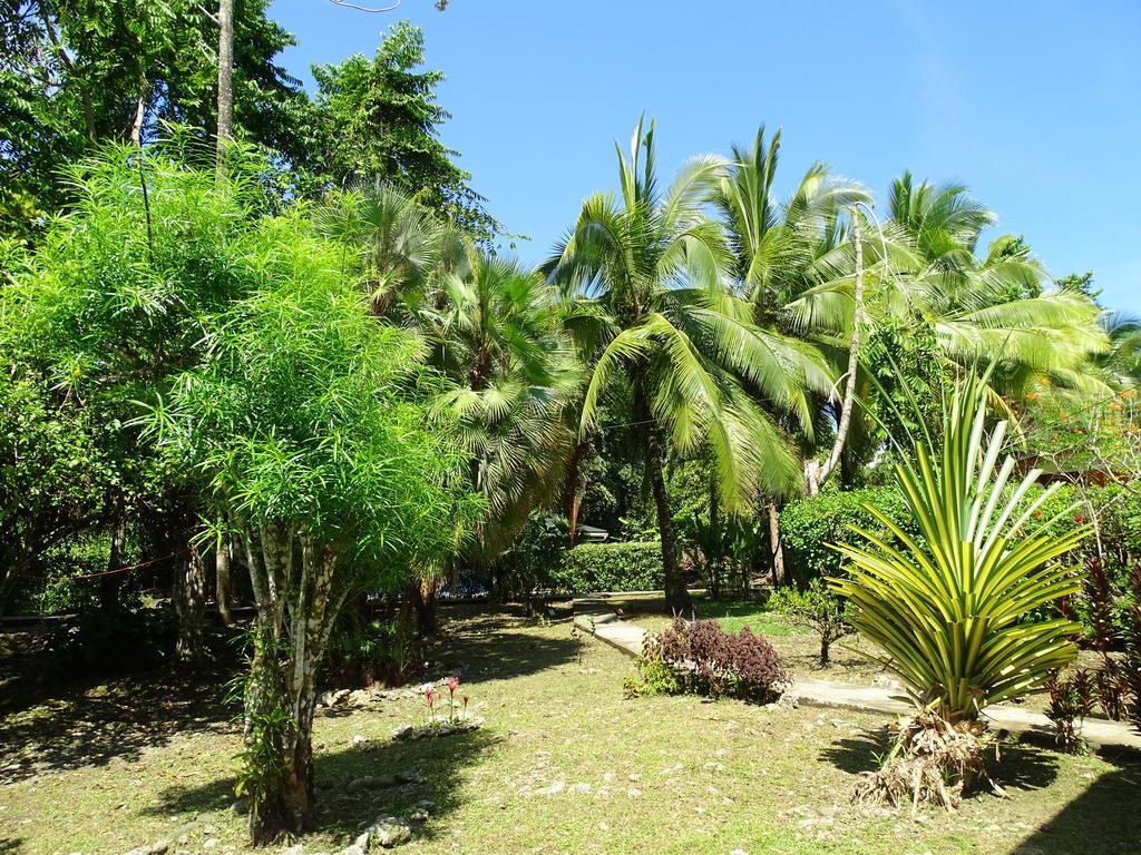 Cabinas Caribe Luna Cahuita Esterno foto