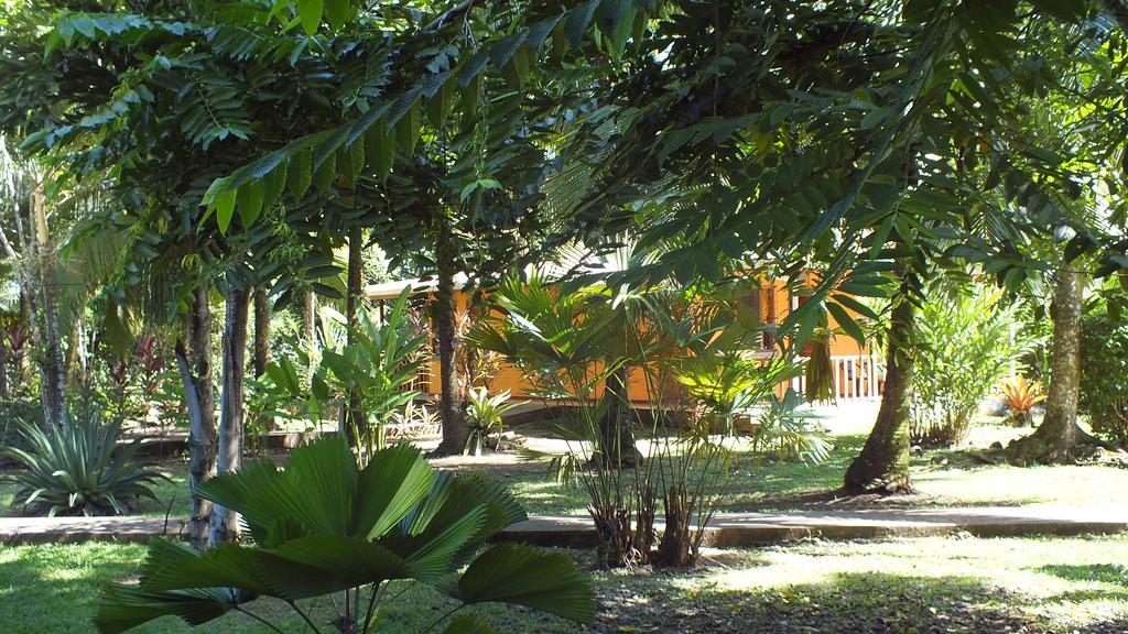 Cabinas Caribe Luna Cahuita Esterno foto
