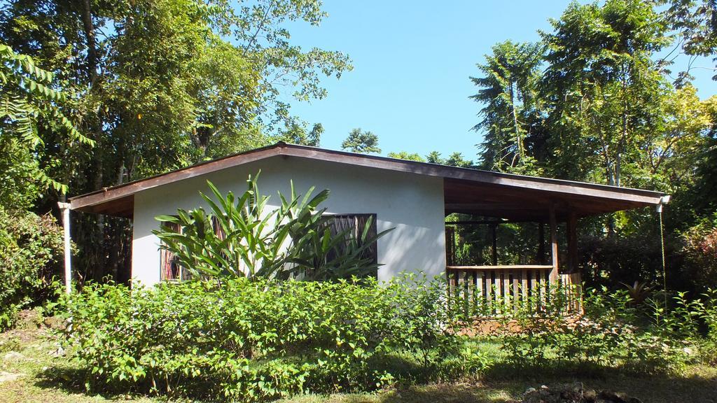 Cabinas Caribe Luna Cahuita Esterno foto